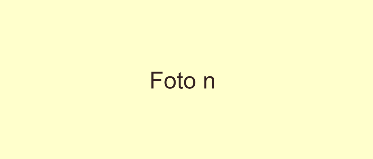 foto_n